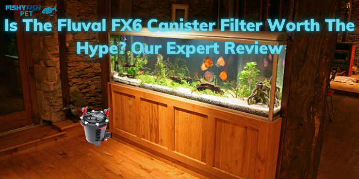 Is the Fluval FX6 Canister Filter Worth the Hype Our Expert Review