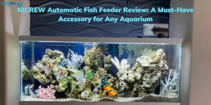 NICREW Automatic Fish Feeder Review